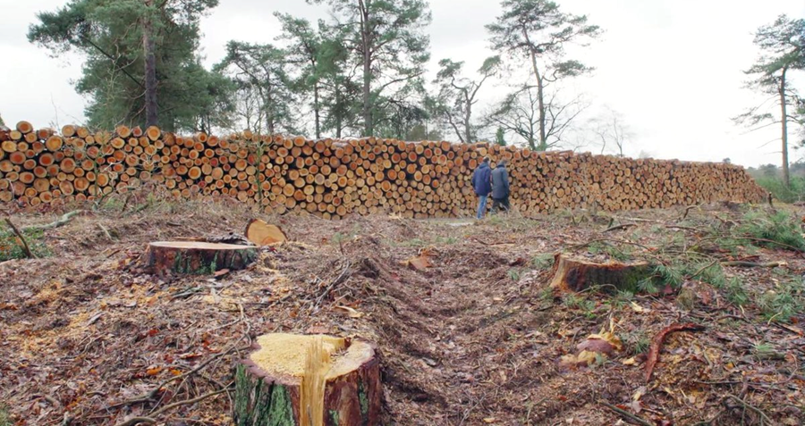 Leve de natuur, weg met het bos?