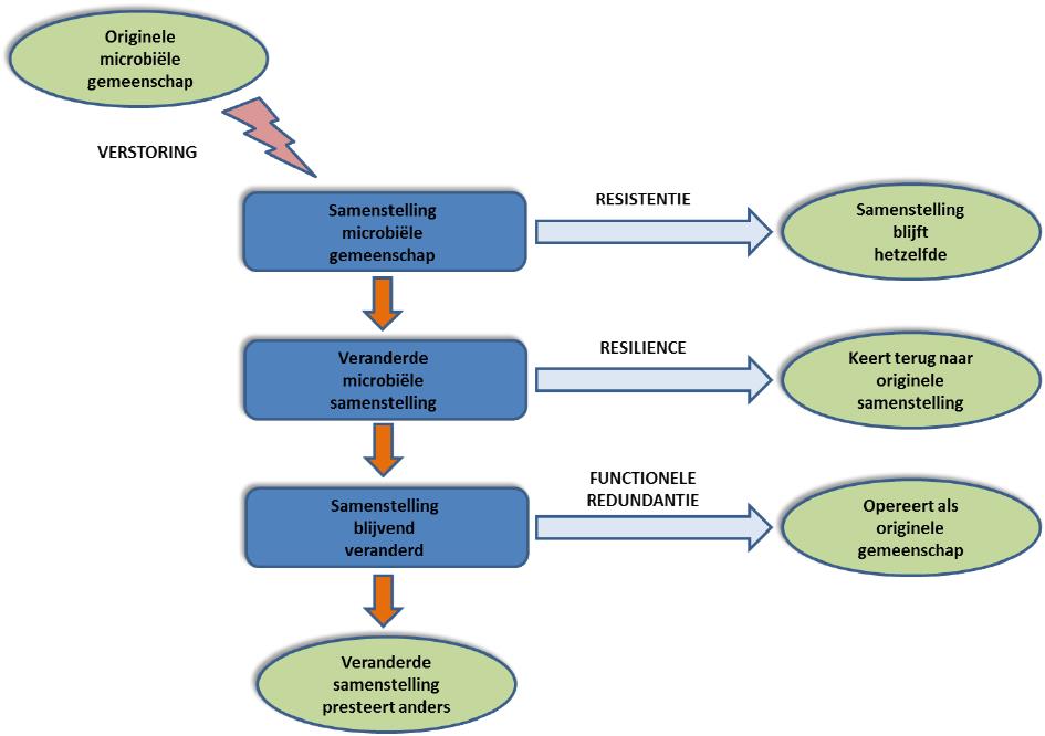 Het belang van resilience in de drinkwatermicrobiologie