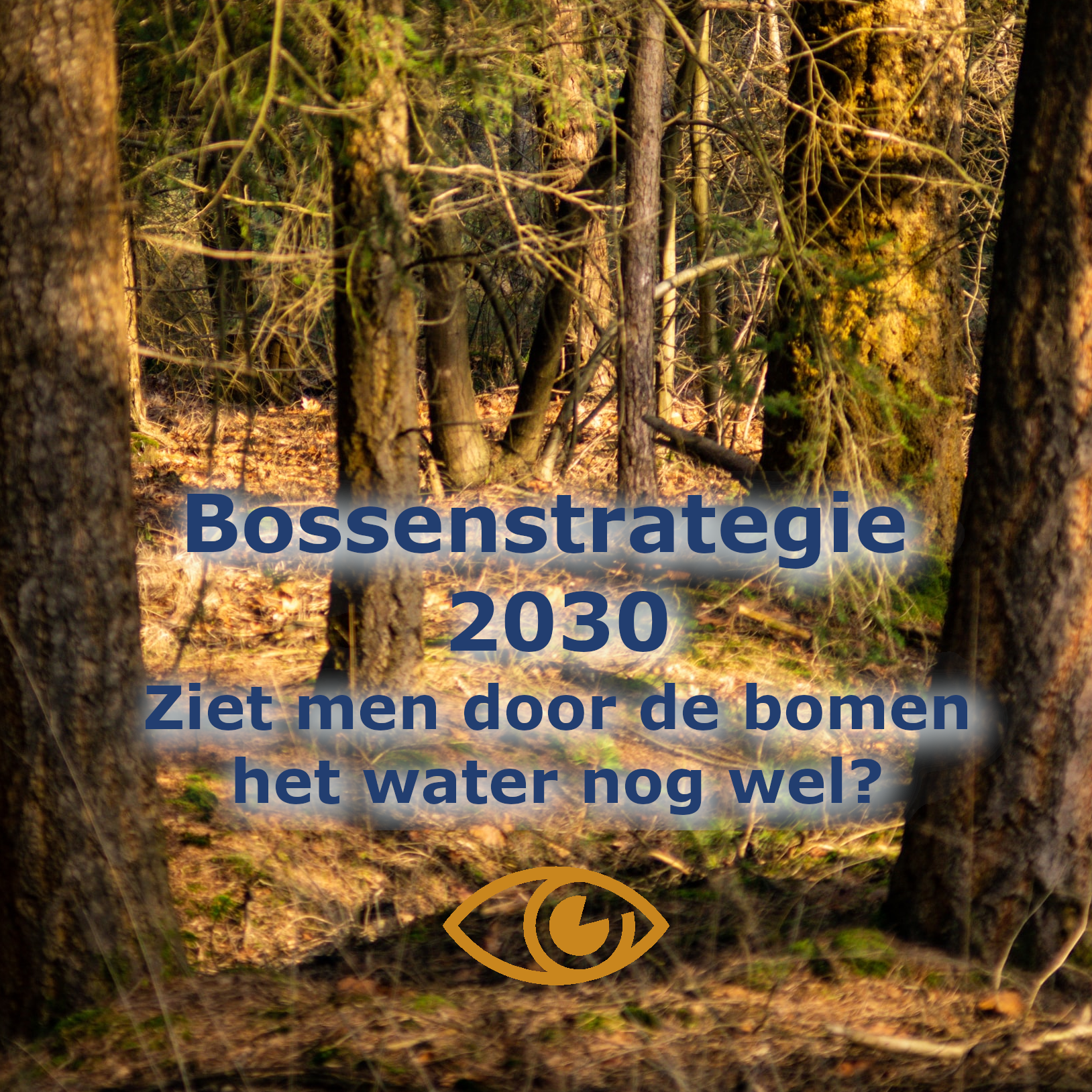 De Bossenstrategie: Ziet men door de bomen het water nog wel?